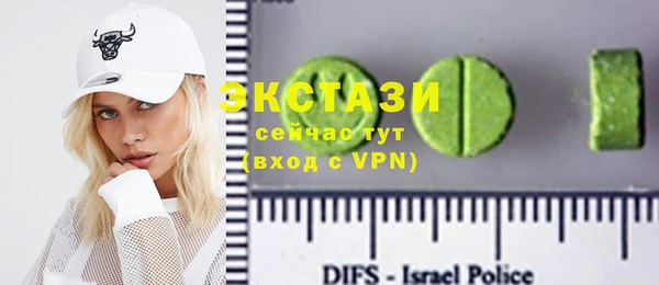 молекула духа Новозыбков