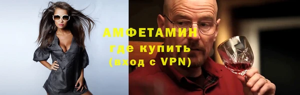 молекула духа Новозыбков