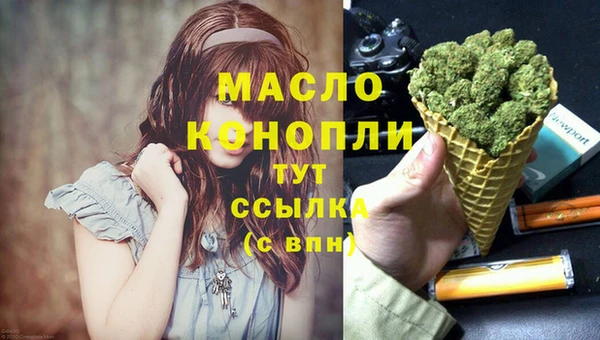 молекула духа Новозыбков