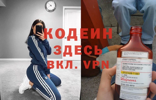 молекула духа Новозыбков