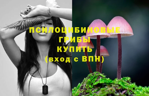 молекула духа Новозыбков