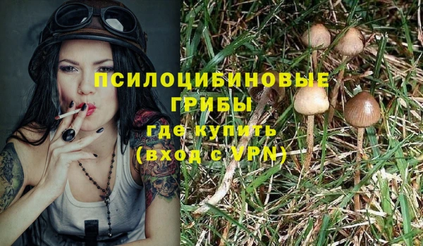 а пвп мука Новокубанск
