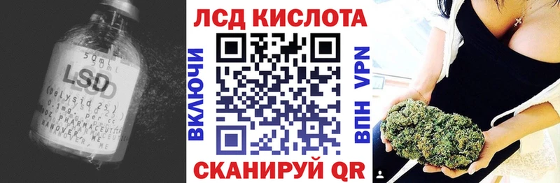 дарнет шоп  Березники  Лсд 25 экстази кислота 